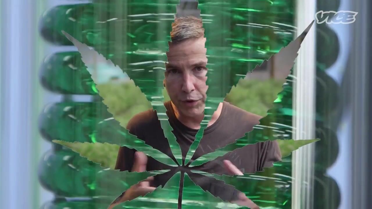 The 'Limitless Future' of a Weed Extract that Doesn't Get You High