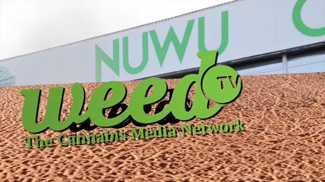 Kellie is at NuWu Cannabis Marketplace on 420