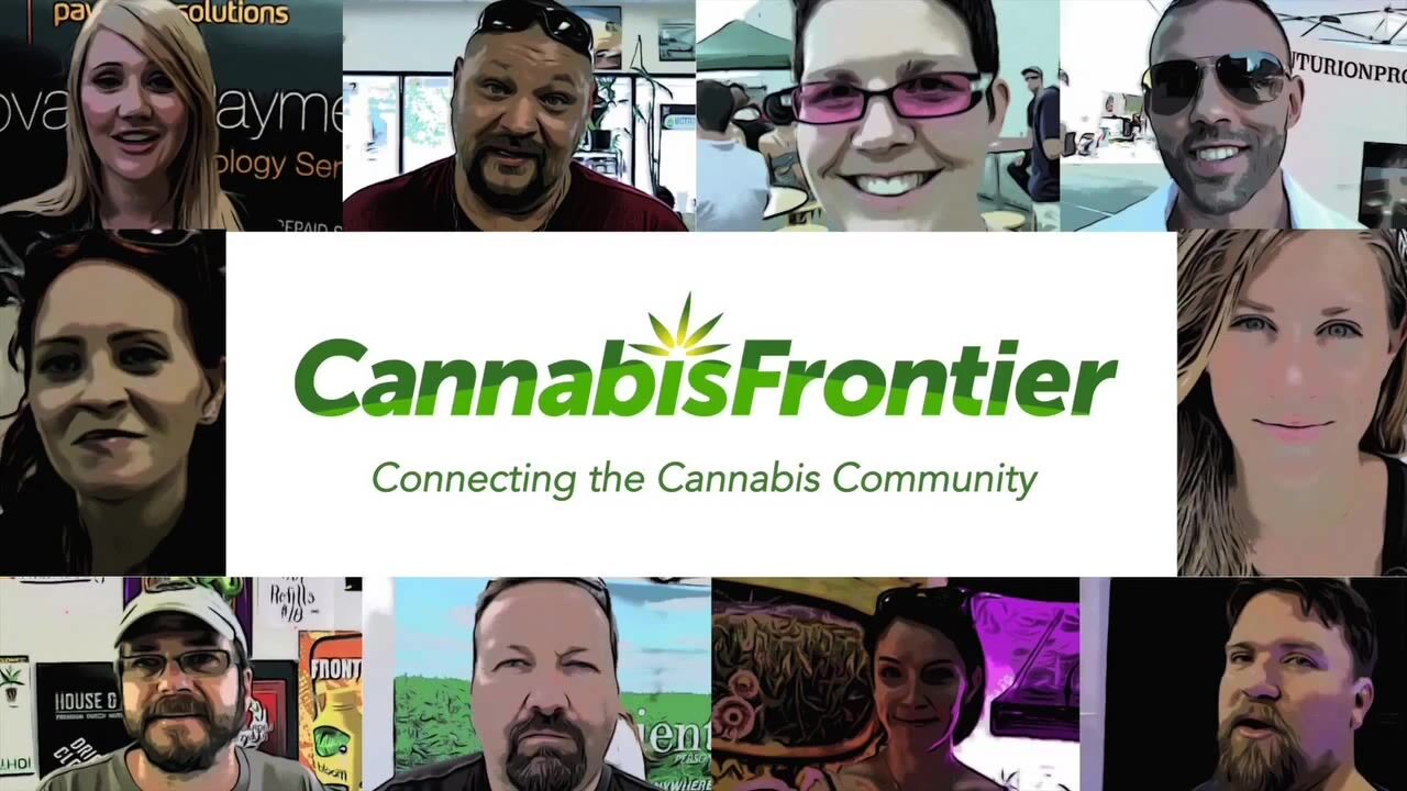 How to Safely Medicate Your Dogs with Cannabis