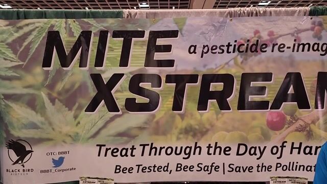 Mite Xxtream