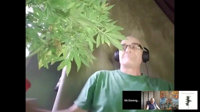 Growing With Fishes Podcast Episode 98
