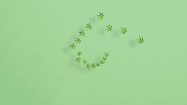 Smart Grow Systems with Adam Part 1