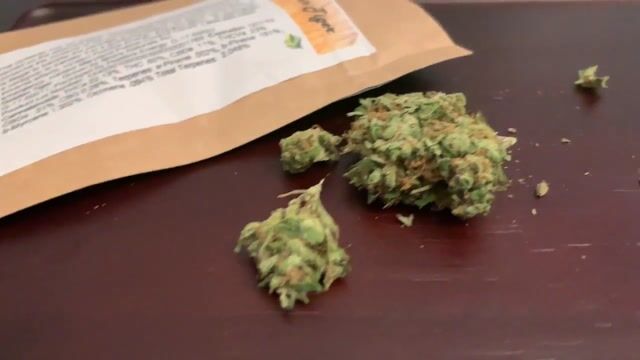 Strain Review : Golden Tiger : Flower : Shore Natural Rx
