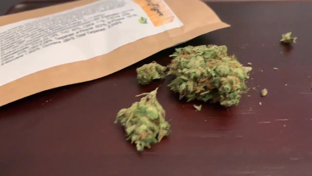 Strain Review : Golden Tiger : Flower : Shore Natural Rx