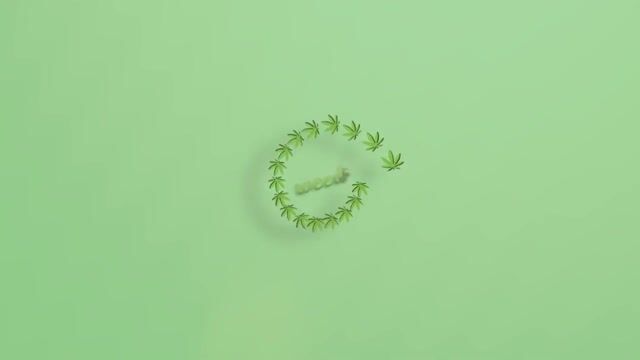 BioTrack Part 1