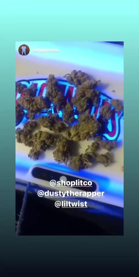 Buds