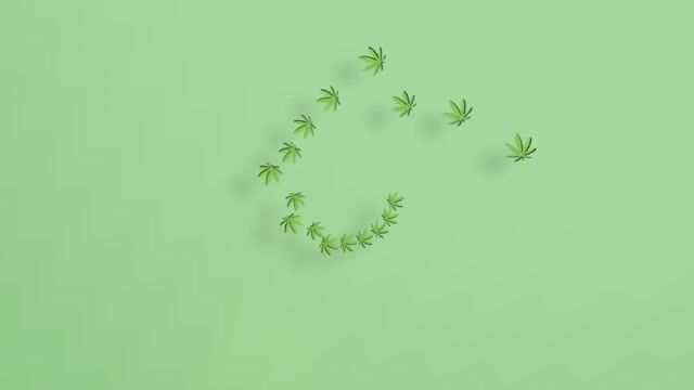 Smart Grow System with Adam Part 2