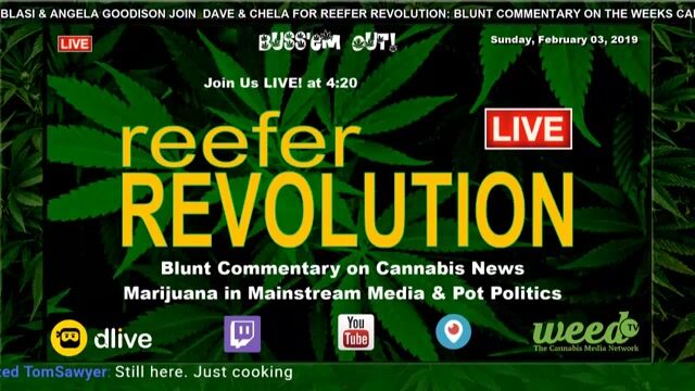 Reefer Revolution LIVE! Sundays Pt. 2