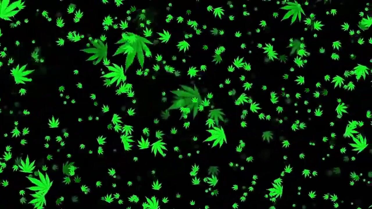 Episode 131: Mr Nice Seedbank