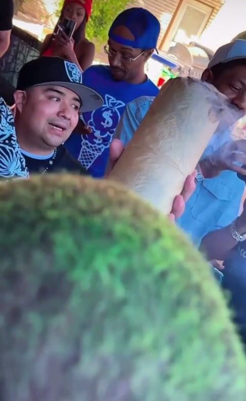 Burrito Blunt