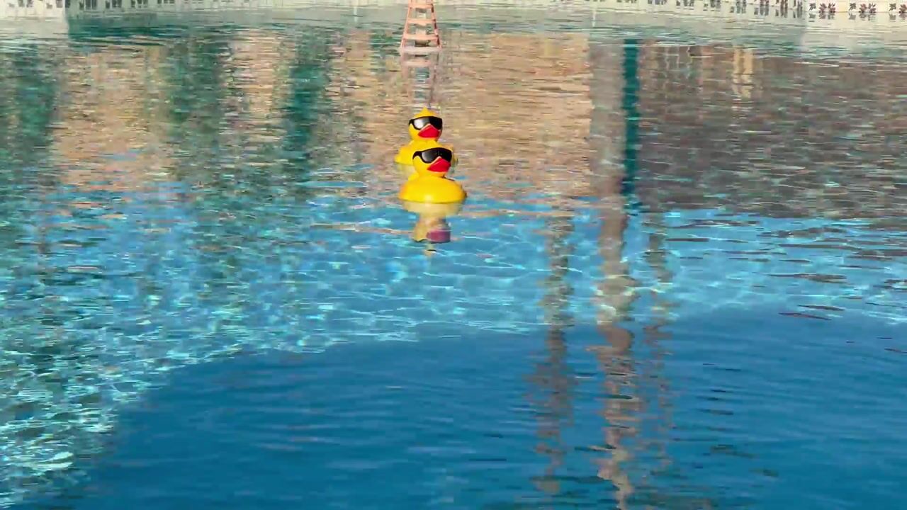 Quack Quack