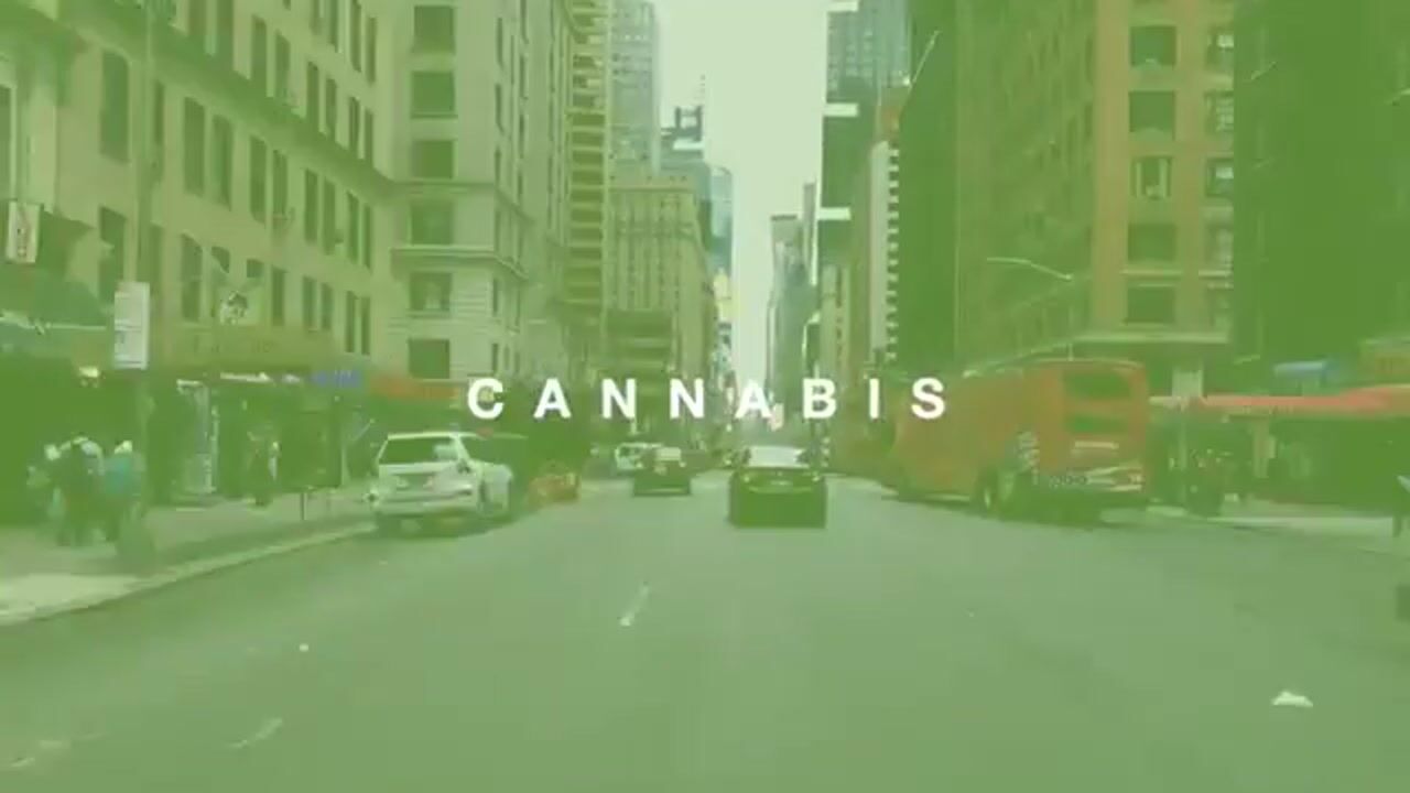 WeedTV "On Location"