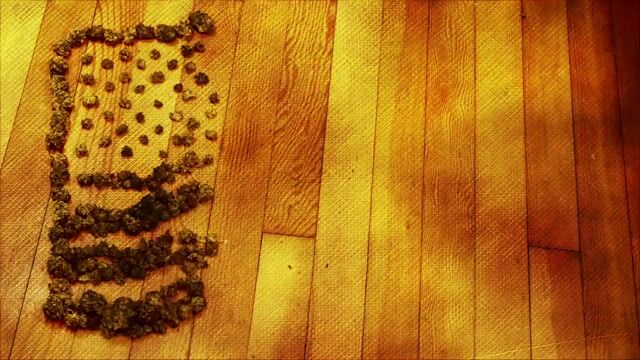 Veterans, PTSD and Cannabis (Mini-Doc)