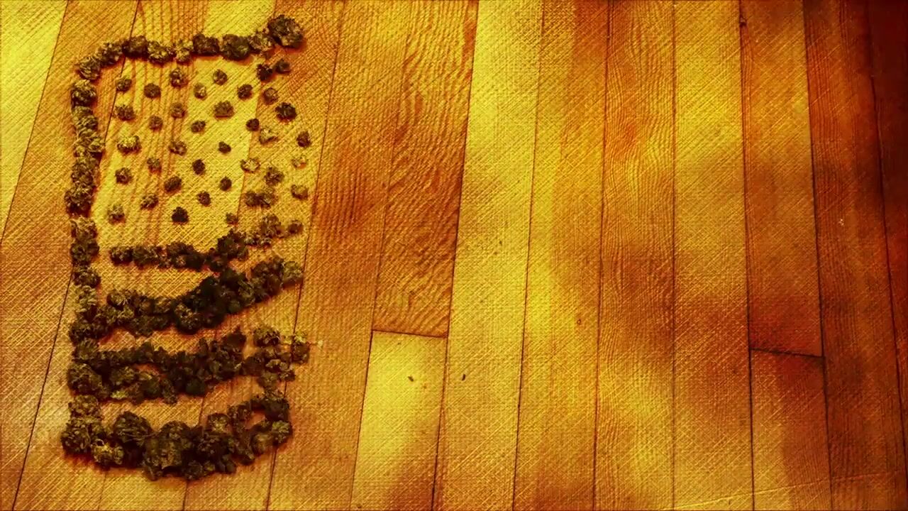 Veterans, PTSD and Cannabis (Mini-Doc)
