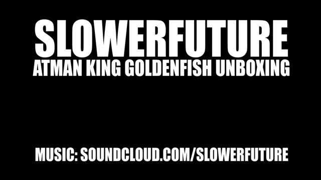 Goldenfish Glass Blunt Review