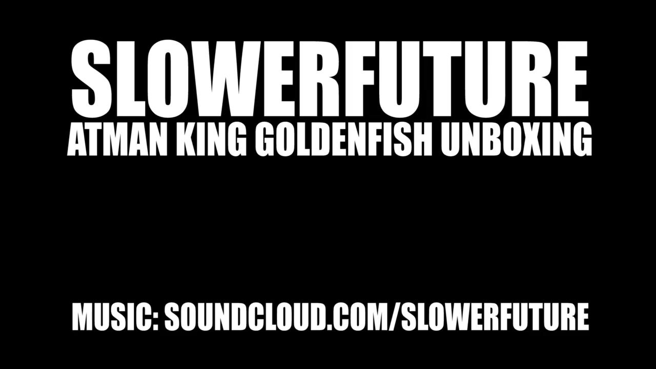 Goldenfish Glass Blunt Review