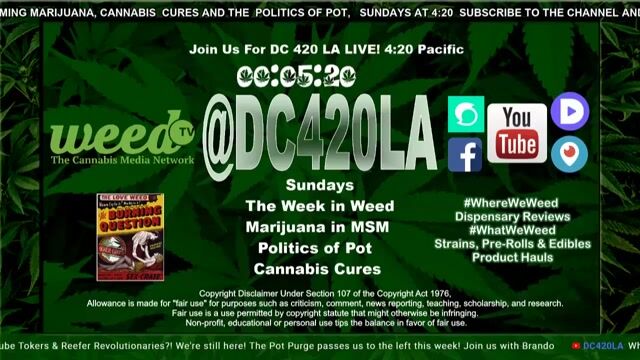 [42] @DC420LA The Week in Weed: Blunt Cannabis Commentary, @TheDailyDopeShw #weedthemedia
