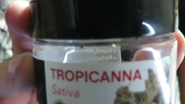 Cannabiotix Way