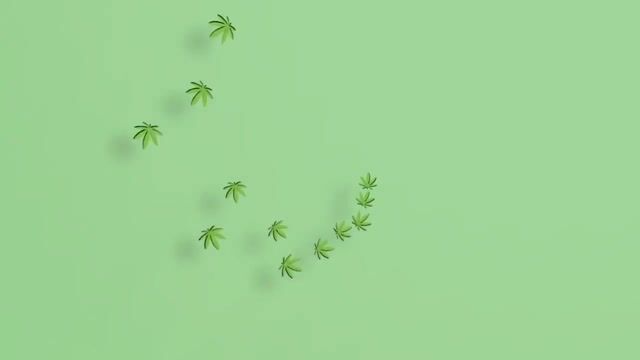 Efinity and Green Leaf Farms Part 1