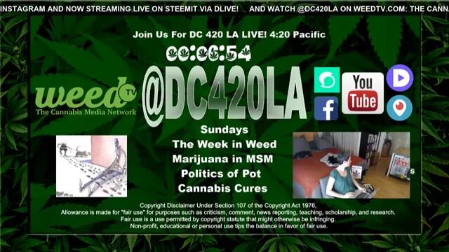 [41] @DC420LA The Week in Weed: Blunt Cannabis Commentary WILL YOUTUBE SHUT US DOWN?