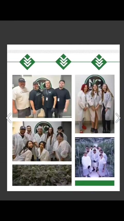 Wellness on the water