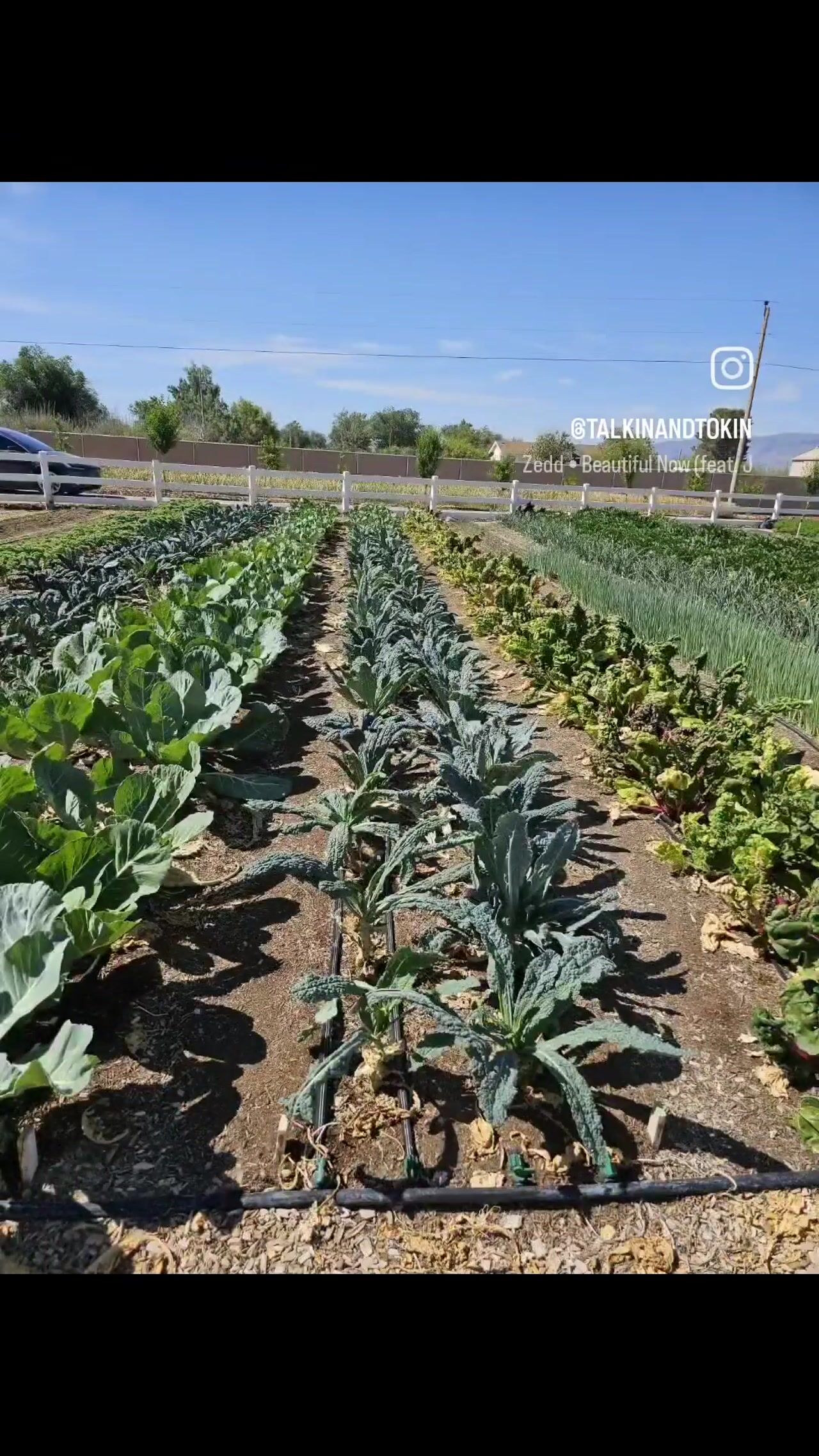 Greenlife Produce