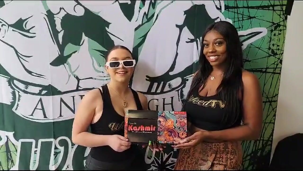 CannaCatWalk Fashion Show - Party In Box by Kashmir