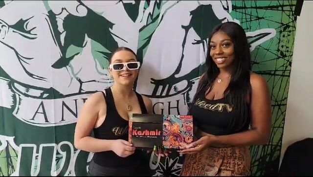 CannaCatWalk Fashion Show - Party In Box by Kashmir