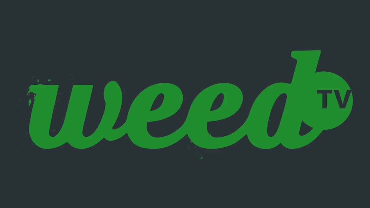 Weed House Promo