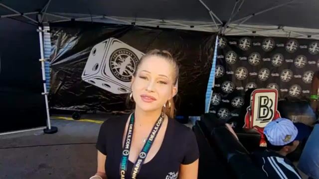 Mark Bradley's Live Stream