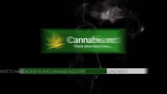 4 Ways to Make Money in the Cannabis Industry without Selling Weed
