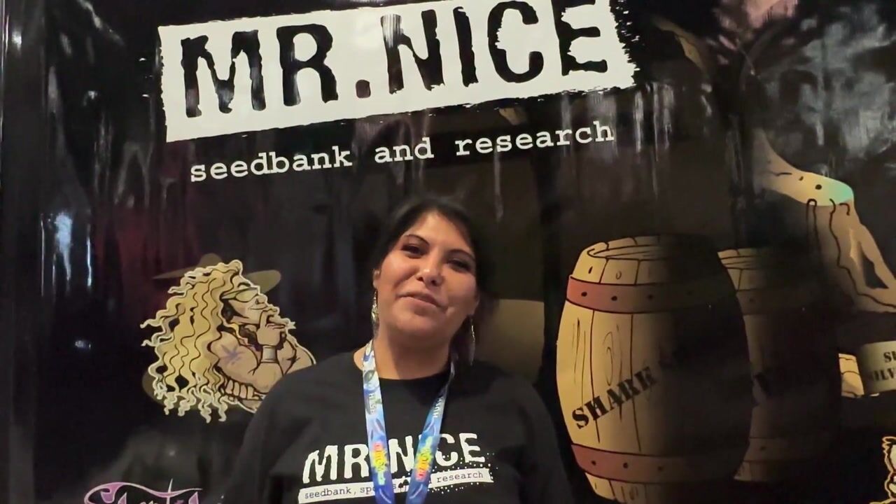 Mr. Nice Seedbank: Grow Shrooms in a bag