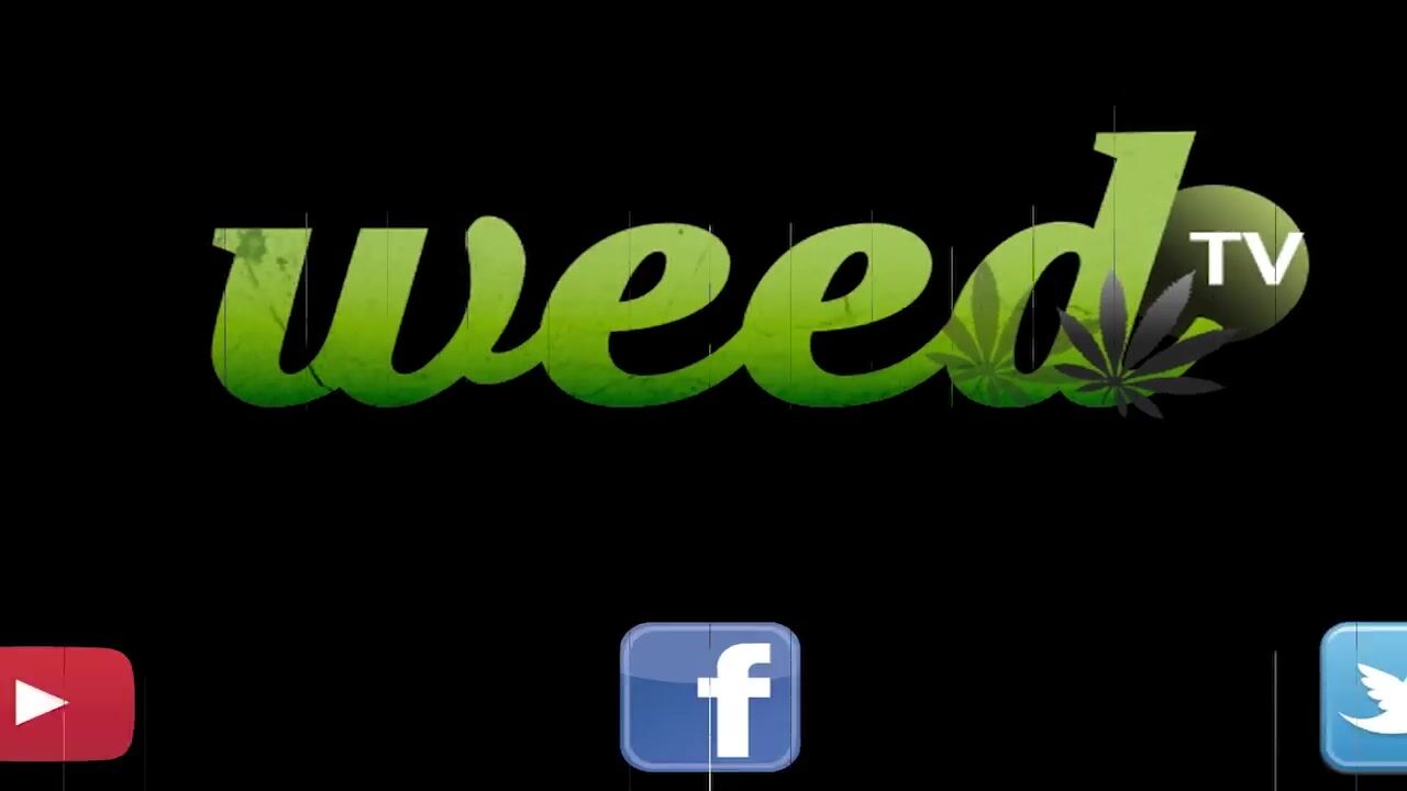 WeedTV Now With Carole Joyce, Kimmy Tan and The 420 Comic