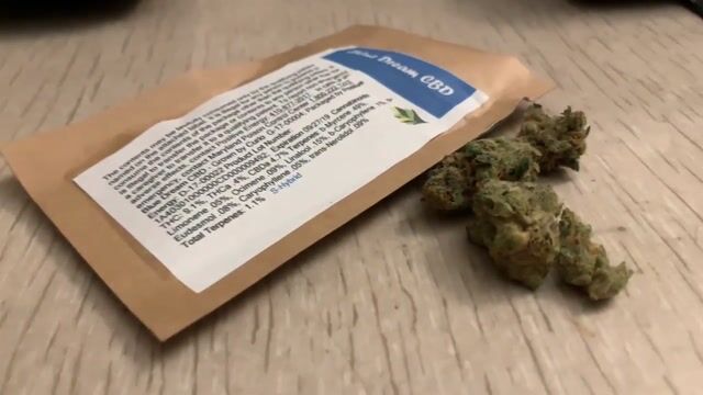 Strain Review : Blue Dream CBD : Flower : Curio Wellness