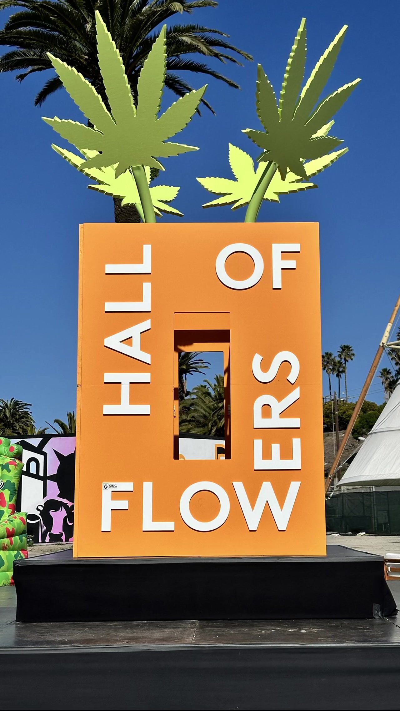 Kristi Vaneé Kem: Chief Experience Officer w DopeCFO at Hall of Flowers!
