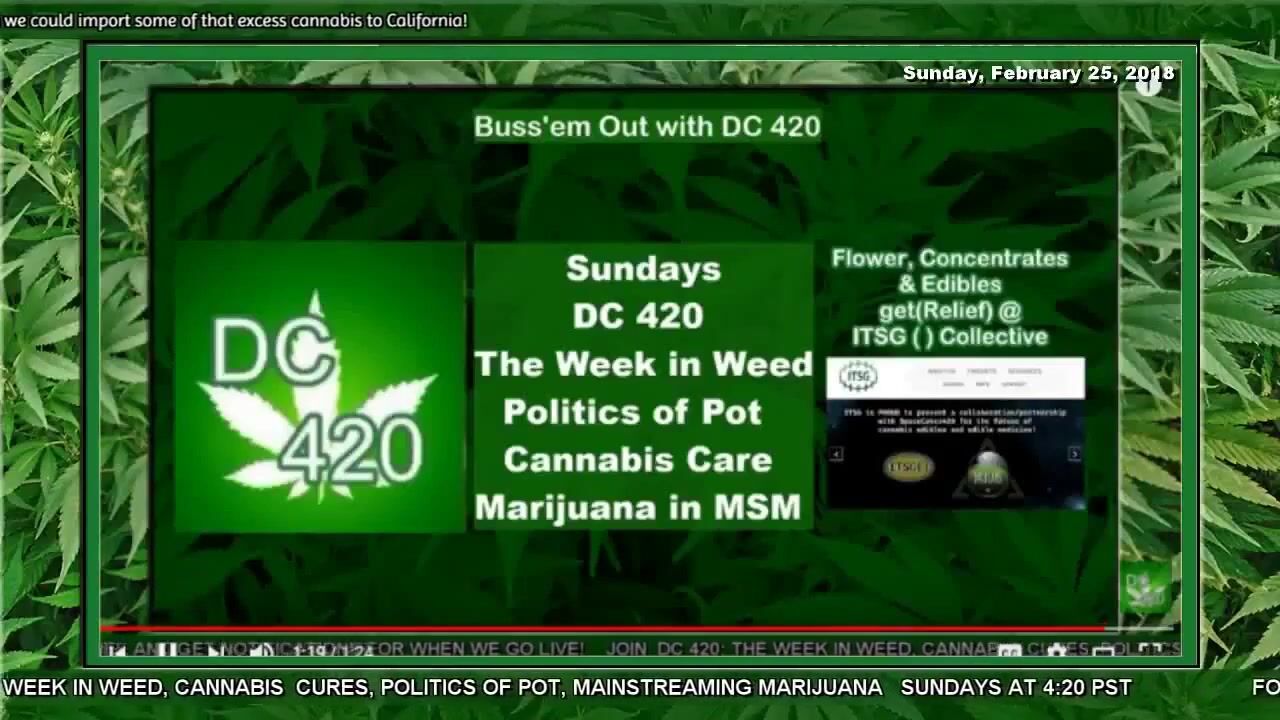 #WhereWeWeed @DC420LA: Cornerstone Collective plus Cannabis in California Politics