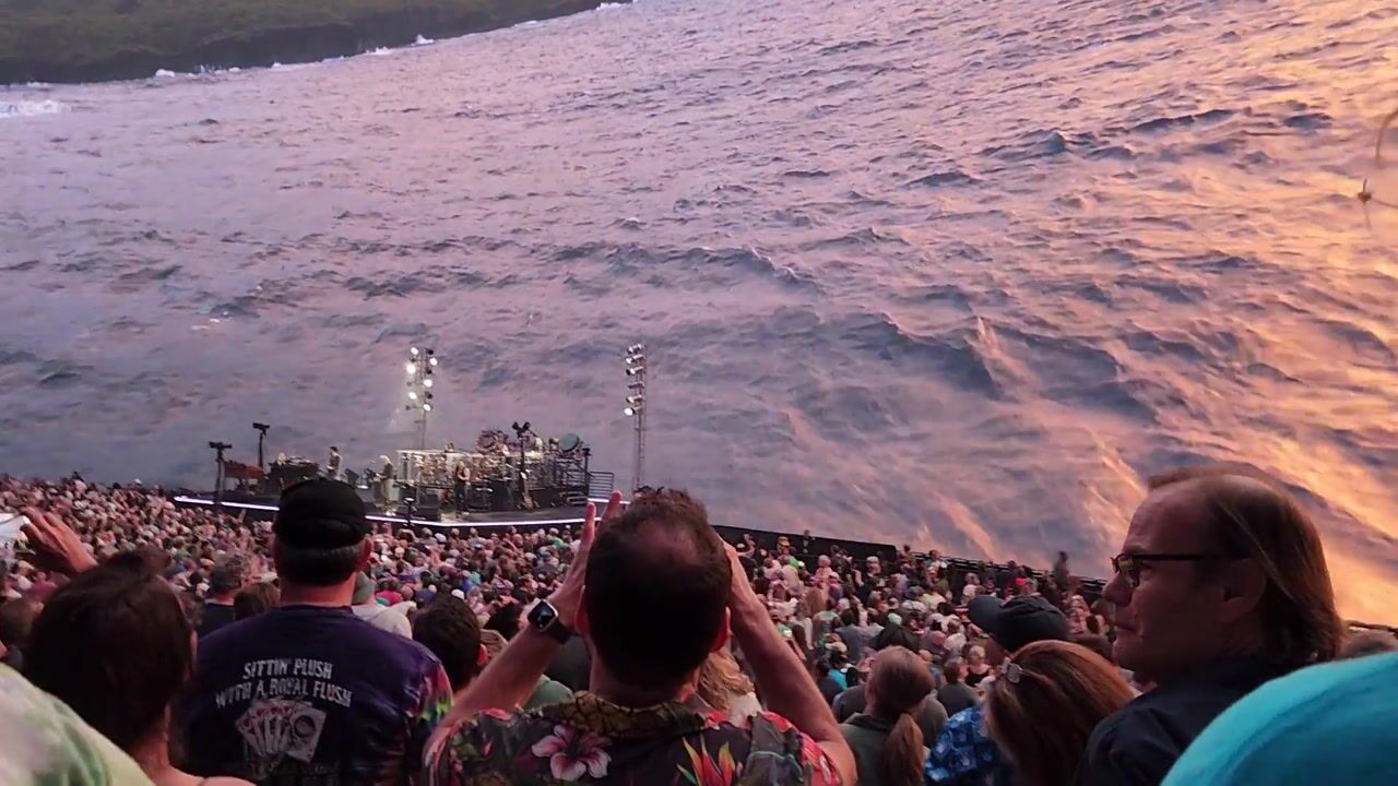 Ship of fools Dead & company