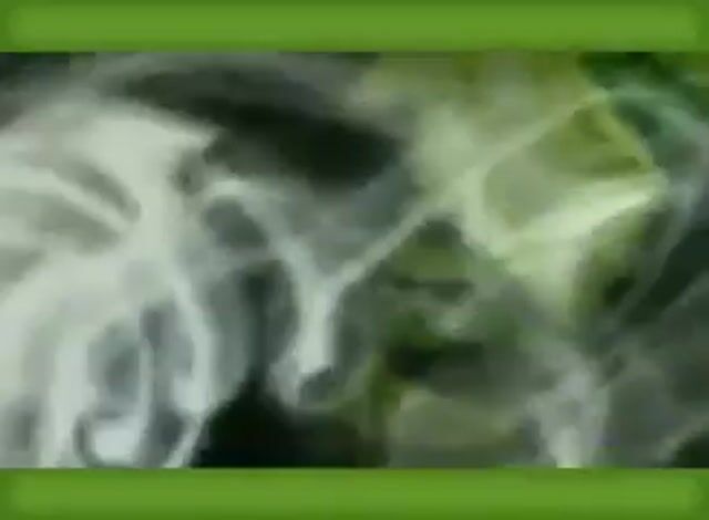 The Bongaloon - Product Review - Master Bong