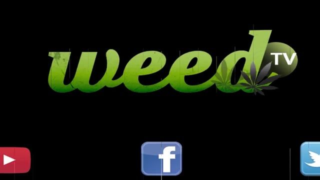 WeedHouse Sponsor StandardXtracts with Carole, The 420 Comic and KimmyTan