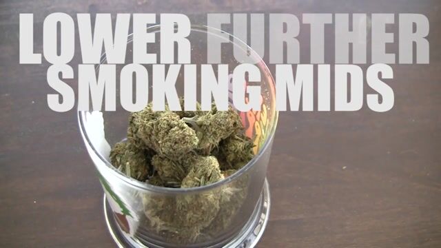 Smoking Mids?!