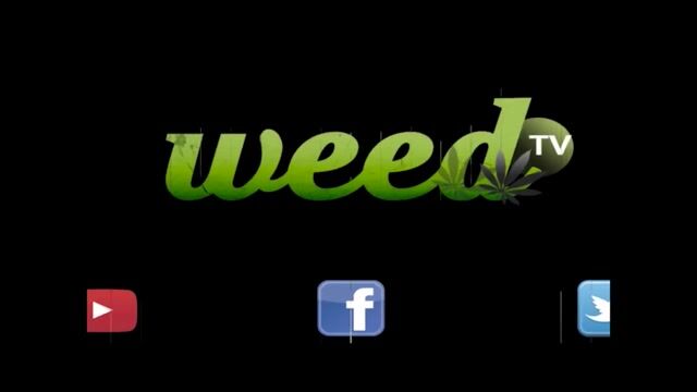 New Amsterdam Naturals High Times