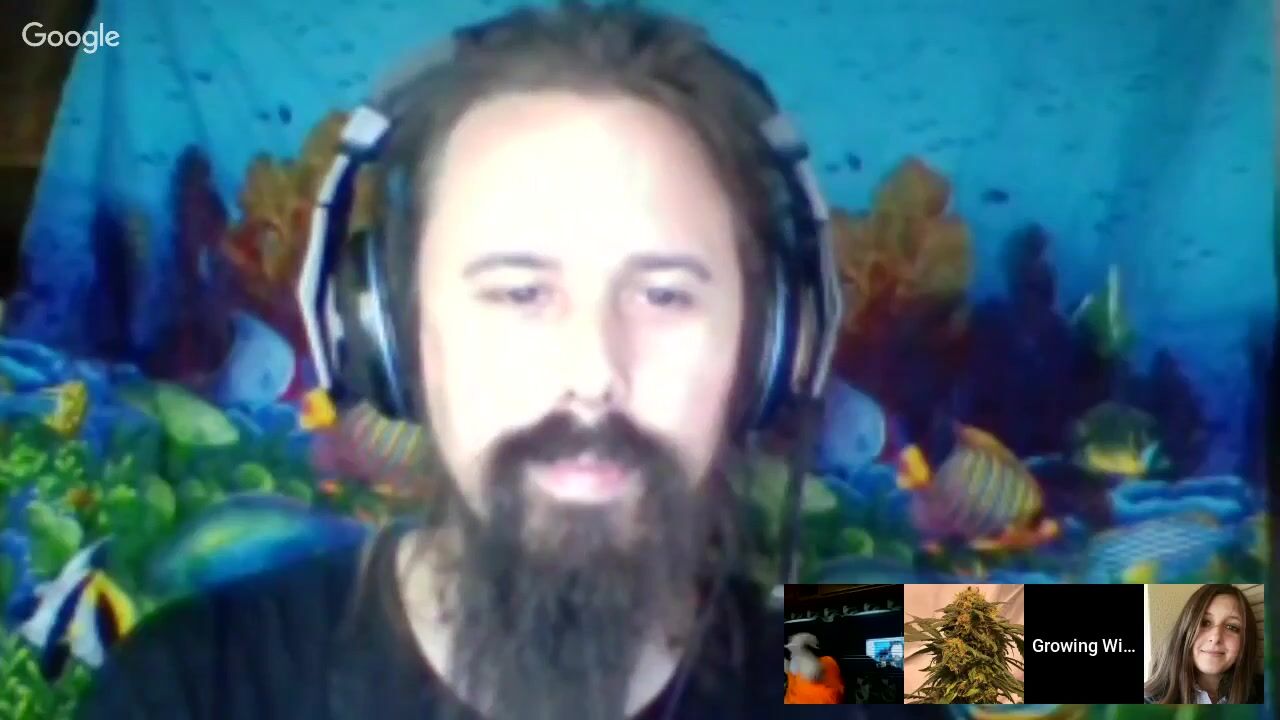 Growing With Fishes Podcast Episode 92 w Giulia Di Crescenzo