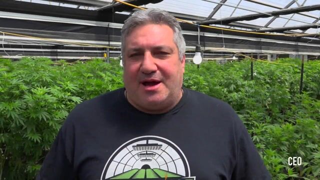 CEO Mark Bradley shows off the new Green Leaf Farms in Salinas California
