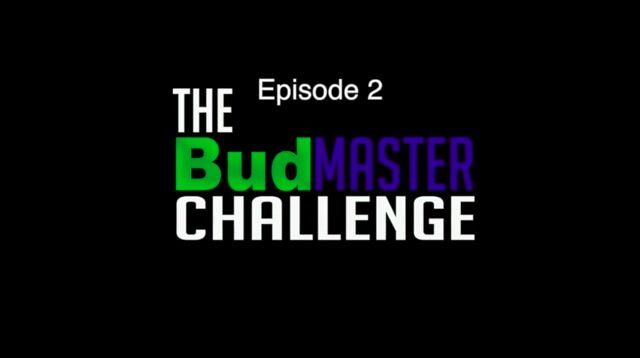 BudMaster Challenge: Smell that Bud!