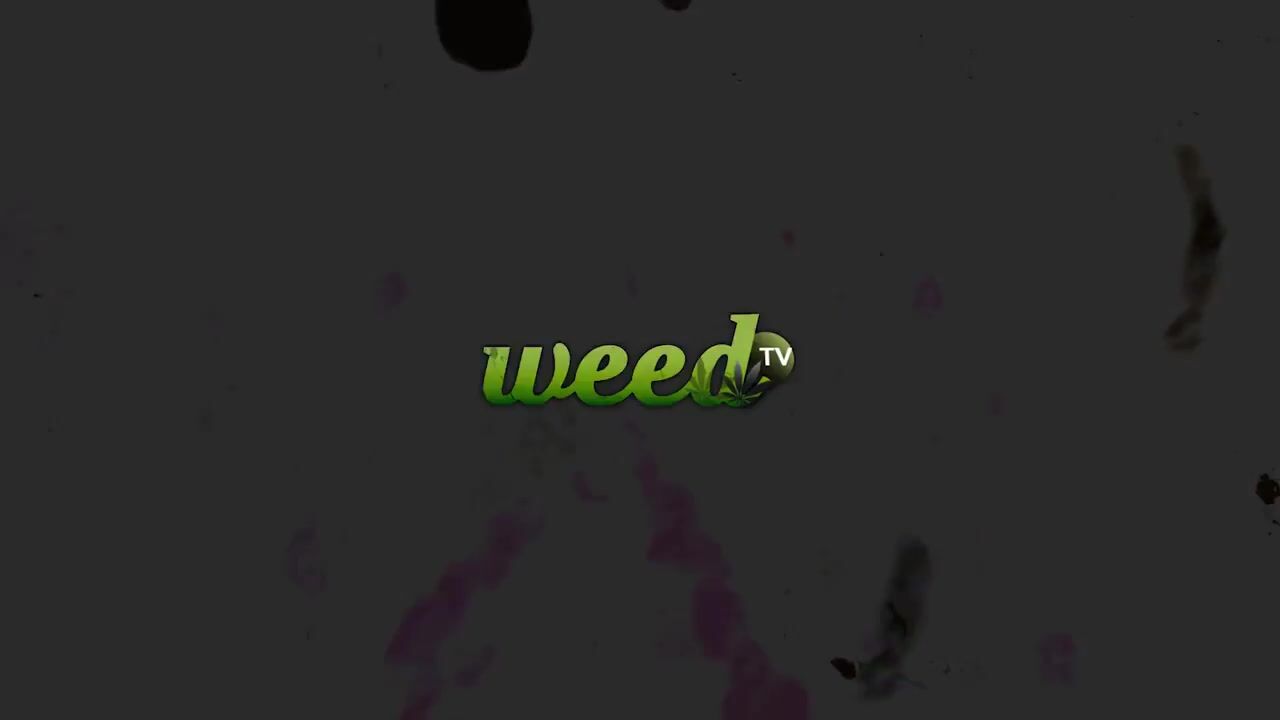BudMaster Challenge: Angela Mazzanti plays "Face-Off" with Ms WeedTV and The 420 Comic