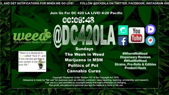 [38] @DC420LA The Week in Weed Blunt Cannabis & Marijuana News, Pot Politics #WeedTheMedia