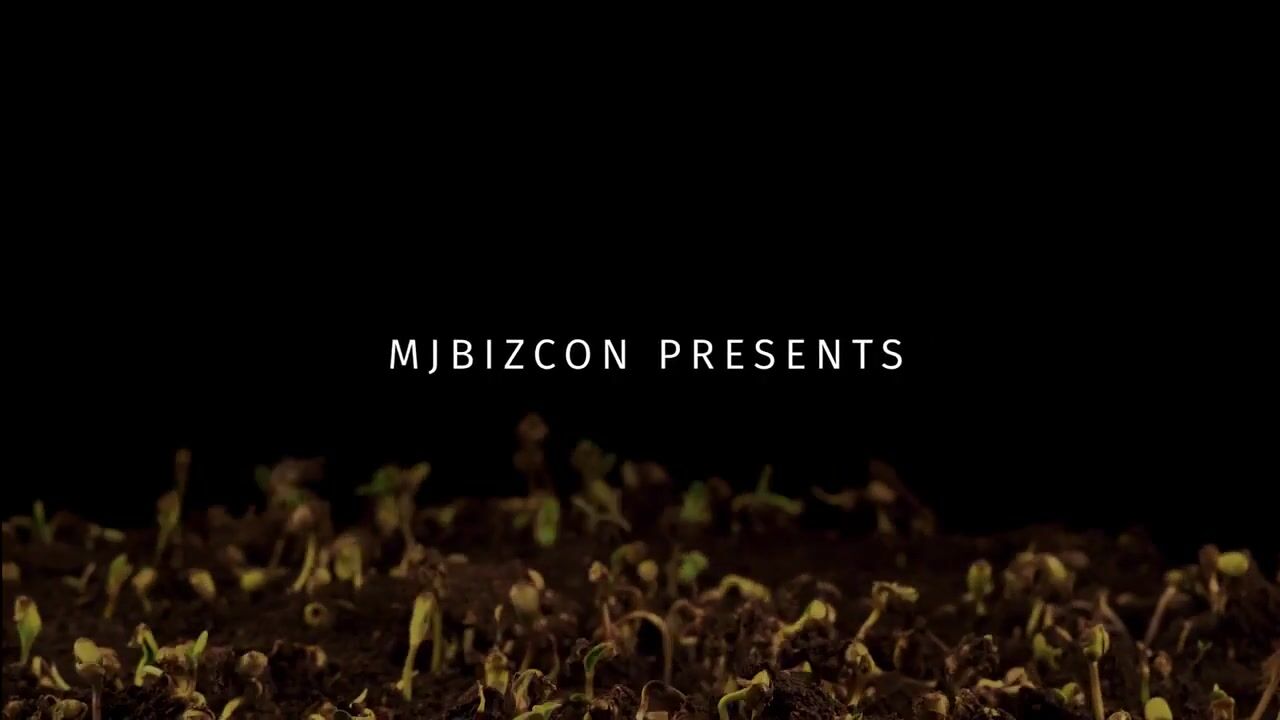 Trailer - Dare to Grow Series | What it takes to make it in the legal cannabis industry