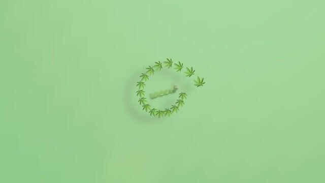BioTrack 3