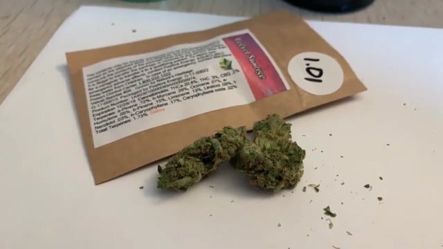 Strain Review : Velvet Sunrise : Flower : Shore Natural Rx