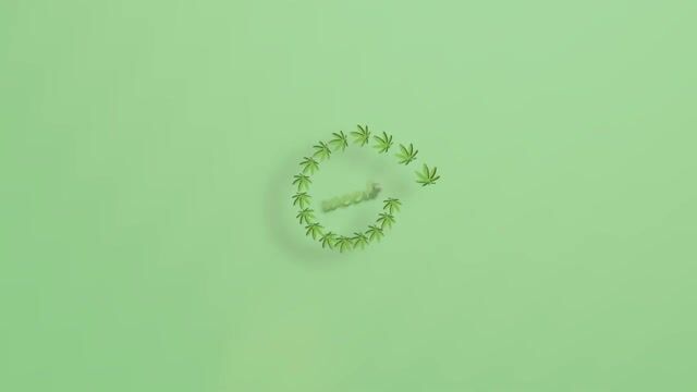 BioTrack Demo 2